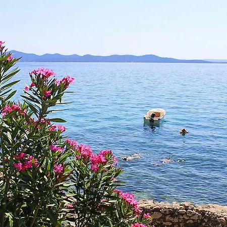 Blue Adria Zadar-kozino - Cdn02102d-dyb
